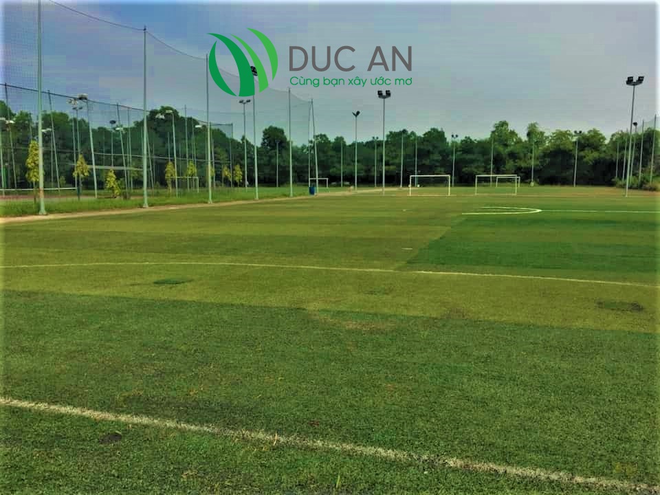 Phục hồi sân bóng bị bỏ hoang tại khu du lịch sinh thái đầm thành Techcombank