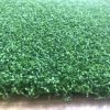Thảm cỏ nhân tạo sân Golf DAC-G03