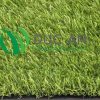 Cỏ nhân tạo sân vườn DAV-SV2016 2 Cỏ nhân tạo sân vườn DAV-SV2016