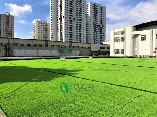 Dự án thay thế cỏ sân bóng cho trung tâm văn hóa thể thao quận Thanh Xuân