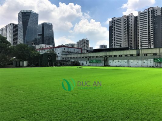 Dự án thay thế cỏ sân bóng cho trung tâm văn hóa thể thao quận Thanh Xuân - Thành Phố Hà Nội