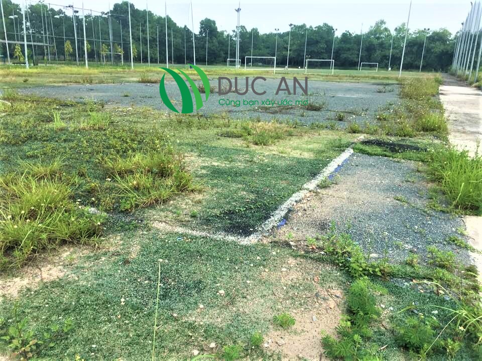 Phục hồi sân bóng bị bỏ hoang tại khu du lịch sinh thái đầm thành Techcombank